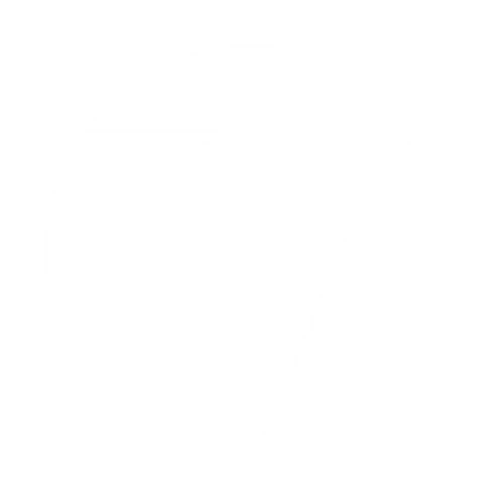 vesta logo